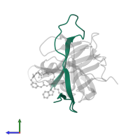 Serine protease subunit NS2B in PDB entry 7zq1, assembly 1, side view.