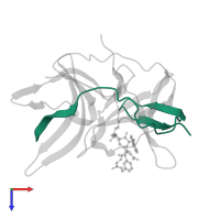 Serine protease subunit NS2B in PDB entry 7zq1, assembly 1, top view.