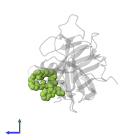 1-[(8R,15S,18S)-15-(4-azanylbutyl)-18-(1H-indol-3-ylmethyl)-4,7,14,17,20-pentakis(oxidanylidene)-3,6,13,16,19-pentazabicyclo[20.3.1]hexacosa-1(25),22(26),23-trien-8-yl]guanidine in PDB entry 7zq1, assembly 1, side view.