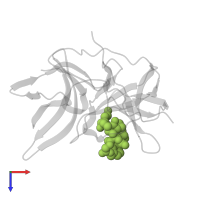 1-[(8R,15S,18S)-15-(4-azanylbutyl)-18-(1H-indol-3-ylmethyl)-4,7,14,17,20-pentakis(oxidanylidene)-3,6,13,16,19-pentazabicyclo[20.3.1]hexacosa-1(25),22(26),23-trien-8-yl]guanidine in PDB entry 7zq1, assembly 1, top view.