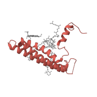 The deposited structure of PDB entry 7zqc contains 1 copy of Pfam domain PF02605 (Photosystem I reaction centre subunit XI) in PSI subunit V. Showing 1 copy in chain J [auth L].