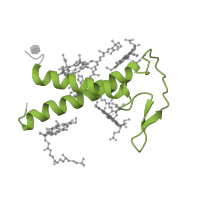 The deposited structure of PDB entry 7zqc contains 1 copy of Pfam domain PF01241 (Photosystem I psaG / psaK) in Photosystem I reaction center subunit psaK, chloroplastic. Showing 1 copy in chain K.