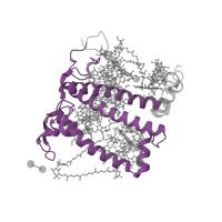 The deposited structure of PDB entry 7zqc contains 1 copy of Pfam domain PF00504 (Chlorophyll A-B binding protein) in Chlorophyll a-b binding protein, chloroplastic. Showing 1 copy in chain N [auth 7].