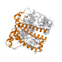 The deposited structure of PDB entry 7zqc contains 1 copy of Pfam domain PF00504 (Chlorophyll A-B binding protein) in Chlorophyll a-b binding protein, chloroplastic. Showing 1 copy in chain O [auth 8].
