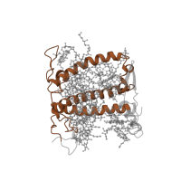 The deposited structure of PDB entry 7zqc contains 1 copy of Pfam domain PF00504 (Chlorophyll A-B binding protein) in Chlorophyll a-b binding protein, chloroplastic. Showing 1 copy in chain R [auth 5].