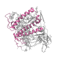 The deposited structure of PDB entry 7zqc contains 1 copy of Pfam domain PF00504 (Chlorophyll A-B binding protein) in Chlorophyll a-b binding protein, chloroplastic. Showing 1 copy in chain S [auth 6].