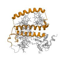 The deposited structure of PDB entry 7zqc contains 1 copy of Pfam domain PF00504 (Chlorophyll A-B binding protein) in Chlorophyll a-b binding protein, chloroplastic. Showing 1 copy in chain T [auth 9].