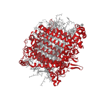 The deposited structure of PDB entry 7zqc contains 1 copy of Pfam domain PF00223 (Photosystem I psaA/psaB protein) in Photosystem I P700 chlorophyll a apoprotein A1. Showing 1 copy in chain A.
