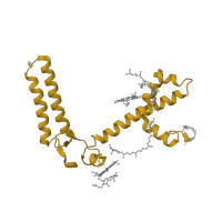 The deposited structure of PDB entry 7zqc contains 1 copy of Pfam domain PF02507 (Photosystem I reaction centre subunit III) in Photosystem I reaction center subunit III, chloroplastic. Showing 1 copy in chain F.