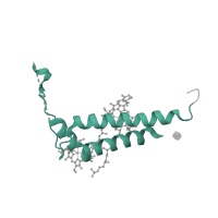 The deposited structure of PDB entry 7zqc contains 1 copy of Pfam domain PF01241 (Photosystem I psaG / psaK) in Photosystem I reaction center subunit V, chloroplastic. Showing 1 copy in chain G.