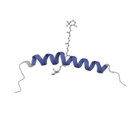 The deposited structure of PDB entry 7zqc contains 1 copy of Pfam domain PF00796 (Photosystem I reaction centre subunit VIII) in Photosystem I reaction center subunit VIII. Showing 1 copy in chain H [auth I].