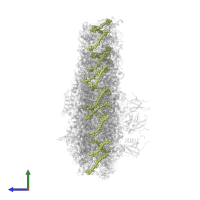 (3R,3'R,6S)-4,5-DIDEHYDRO-5,6-DIHYDRO-BETA,BETA-CAROTENE-3,3'-DIOL in PDB entry 7zqc, assembly 1, side view.