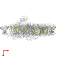 (3R,3'R,6S)-4,5-DIDEHYDRO-5,6-DIHYDRO-BETA,BETA-CAROTENE-3,3'-DIOL in PDB entry 7zqc, assembly 1, top view.