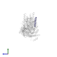 Potassium-transporting ATPase KdpF subunit in PDB entry 7zre, assembly 1, side view.