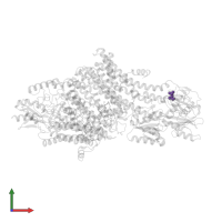 Modified residue SEP in PDB entry 7zre, assembly 1, front view.