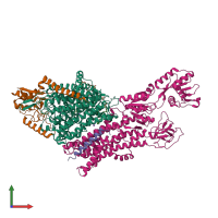 PDB entry 7zri coloured by chain, front view.