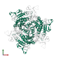 Molybdenum storage protein subunit alpha in PDB entry 7zse, assembly 1, front view.