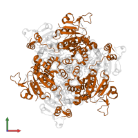 Molybdenum storage protein subunit beta in PDB entry 7zse, assembly 1, front view.