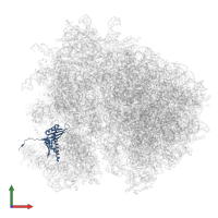 Small ribosomal subunit protein uS3 in PDB entry 7zux, assembly 1, front view.