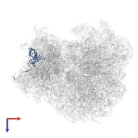 Small ribosomal subunit protein uS3 in PDB entry 7zux, assembly 1, top view.