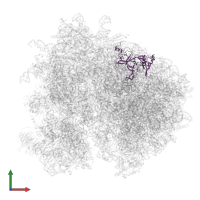 Large ribosomal subunit protein uL3 in PDB entry 7zux, assembly 1, front view.