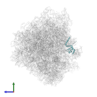 Large ribosomal subunit protein eL14A in PDB entry 7zux, assembly 1, side view.