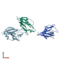 PDB entry 7zv1 coloured by chain, front view.