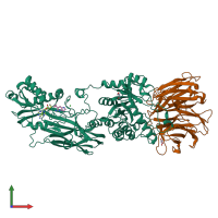 PDB entry 7zvl coloured by chain, front view.