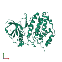 Casein kinase II subunit alpha in PDB entry 7zwg, assembly 1, front view.