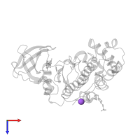 SODIUM ION in PDB entry 7zwg, assembly 1, top view.