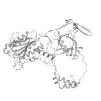 The deposited structure of PDB entry 7zyg contains 1 copy of Pfam domain PF02037 (SAP domain) in X-ray repair cross-complementing protein 6. Showing 1 copy in chain A (this domain is out of the observed residue ranges!).