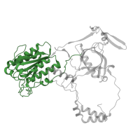 The deposited structure of PDB entry 7zyg contains 1 copy of Pfam domain PF03731 (Ku70/Ku80 N-terminal alpha/beta domain) in X-ray repair cross-complementing protein 6. Showing 1 copy in chain A.