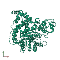 Pyruvate carboxylase in PDB entry 7zz2, assembly 1, front view.