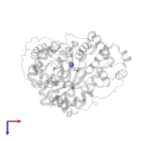 MANGANESE (II) ION in PDB entry 7zz2, assembly 1, top view.