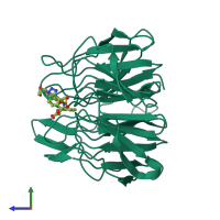 Monomeric assembly 1 of PDB entry 8a46 coloured by chemically distinct molecules, side view.