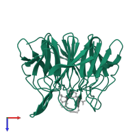 Kelch-like ECH-associated protein 1 in PDB entry 8a46, assembly 1, top view.