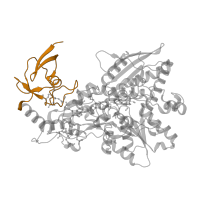 The deposited structure of PDB entry 8a5e contains 2 copies of Pfam domain PF13510 (2Fe-2S iron-sulfur cluster binding domain) in Iron hydrogenase HydA1. Showing 1 copy in chain A.