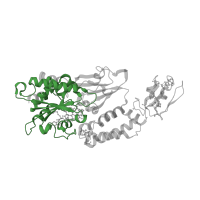 The deposited structure of PDB entry 8a5e contains 1 copy of Pfam domain PF01512 (Respiratory-chain NADH dehydrogenase 51 Kd subunit) in 4Fe-4S ferredoxin-type domain-containing protein. Showing 1 copy in chain B.