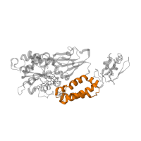 The deposited structure of PDB entry 8a5e contains 1 copy of Pfam domain PF10589 (NADH-ubiquinone oxidoreductase-F iron-sulfur binding region) in 4Fe-4S ferredoxin-type domain-containing protein. Showing 1 copy in chain B.
