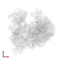 40S ribosomal protein S27-1 in PDB entry 8a98, assembly 1, front view.