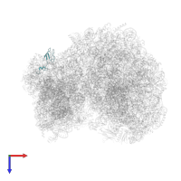 40S ribosomal protein S27-1 in PDB entry 8a98, assembly 1, top view.