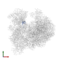 40S ribosomal protein S14 in PDB entry 8a98, assembly 1, front view.