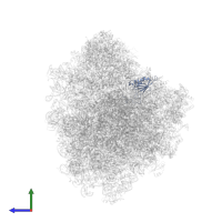 40S ribosomal protein S14 in PDB entry 8a98, assembly 1, side view.
