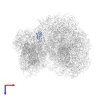 40S ribosomal protein S14 in PDB entry 8a98, assembly 1, top view.