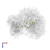 Modified residue OMC in PDB entry 8a98, assembly 1, top view.