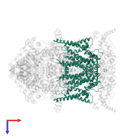 Cytochrome b in PDB entry 8ab6, assembly 1, top view.