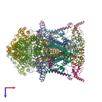 PDB entry 8abl coloured by chain, top view.