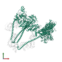 Myosin-7 in PDB entry 8act, assembly 1, front view.
