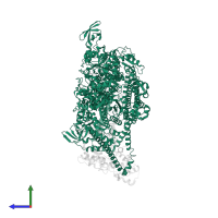 Myosin-7 in PDB entry 8act, assembly 1, side view.
