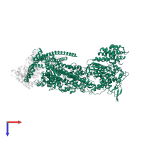 Myosin-7 in PDB entry 8act, assembly 1, top view.